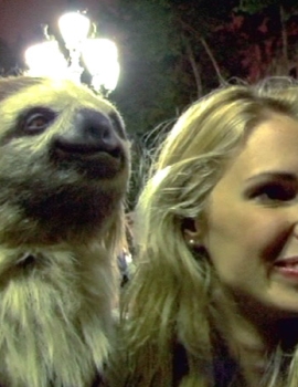ALFA ROMEO – SLOTH OUT