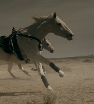 SCISSOR SISTERS – ONLY THE HORSES