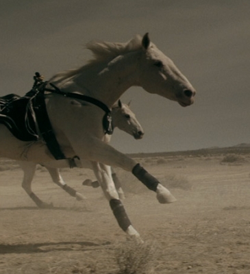 SCISSOR SISTERS – ONLY THE HORSES
